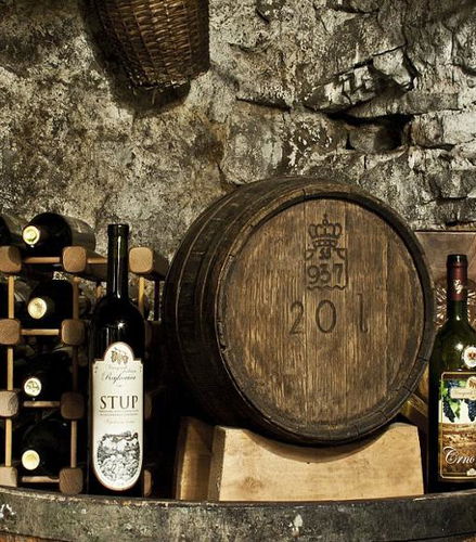 Foto de Ruta del Vino de Podgorica - Tour Privado